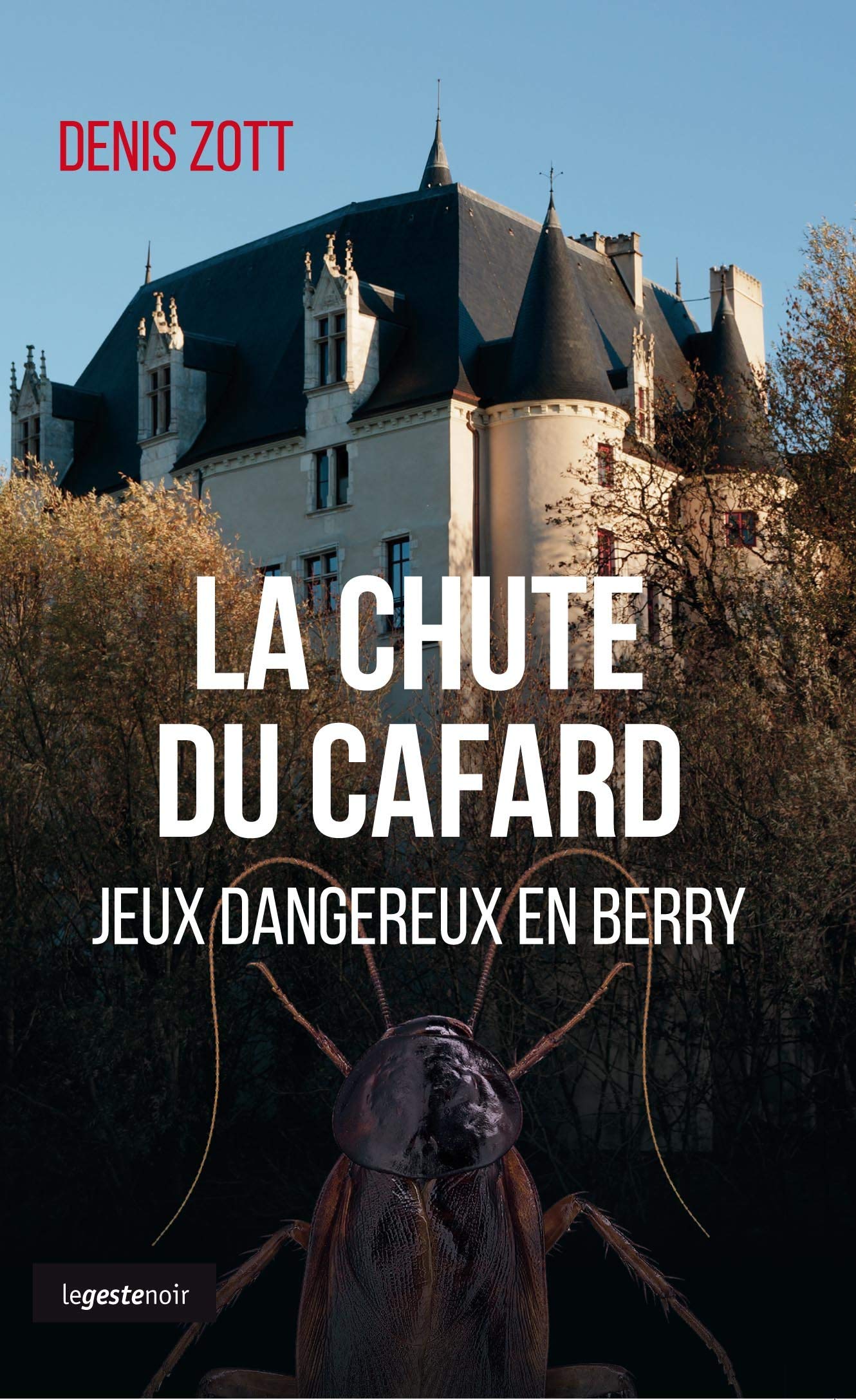 La Chute du Cafard - Jeu Dangereux en Berry Contemporary literature