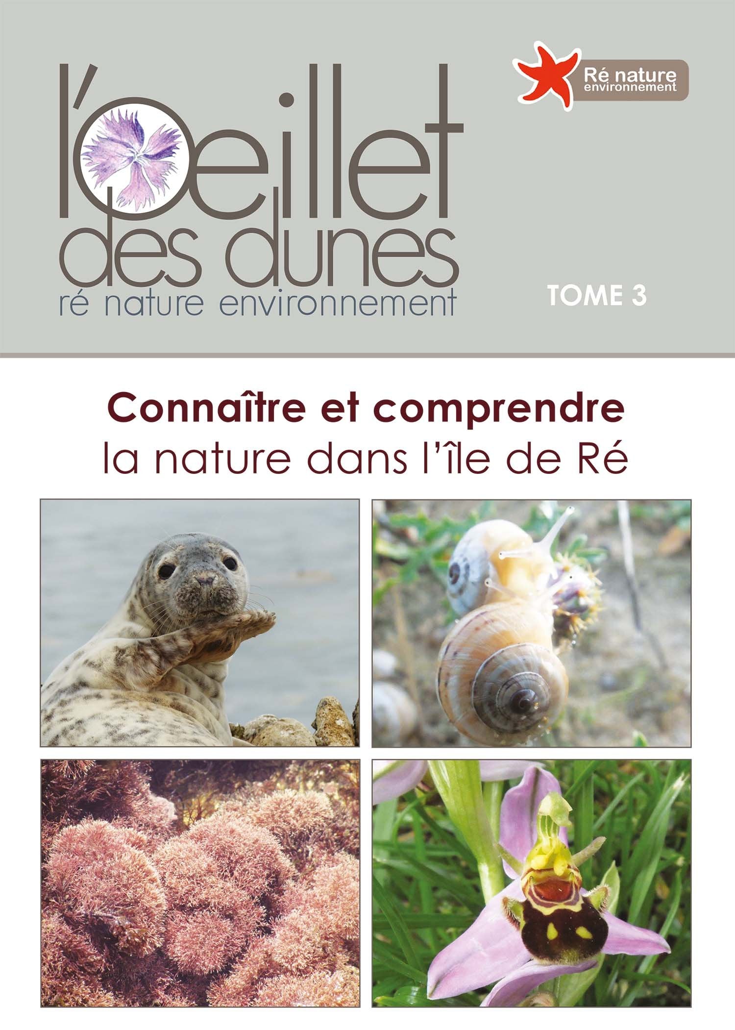 Connaitre et Comprendre la Nature Dans l'Ile de Re - Oeillet des Dunes T3 book