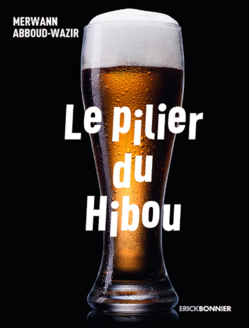 Le pilier du hibou - 28 soirs au comptoir book