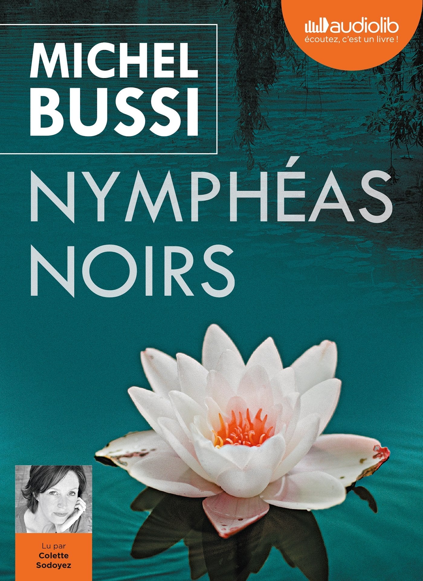 Nymphéas noirs: Livre audio 2 CD MP3 cd