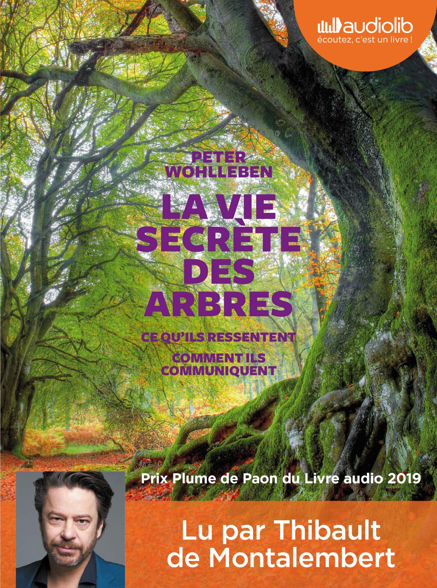 La Vie secrète des arbres: Livre audio 1CD MP3 Essays & Short Stories