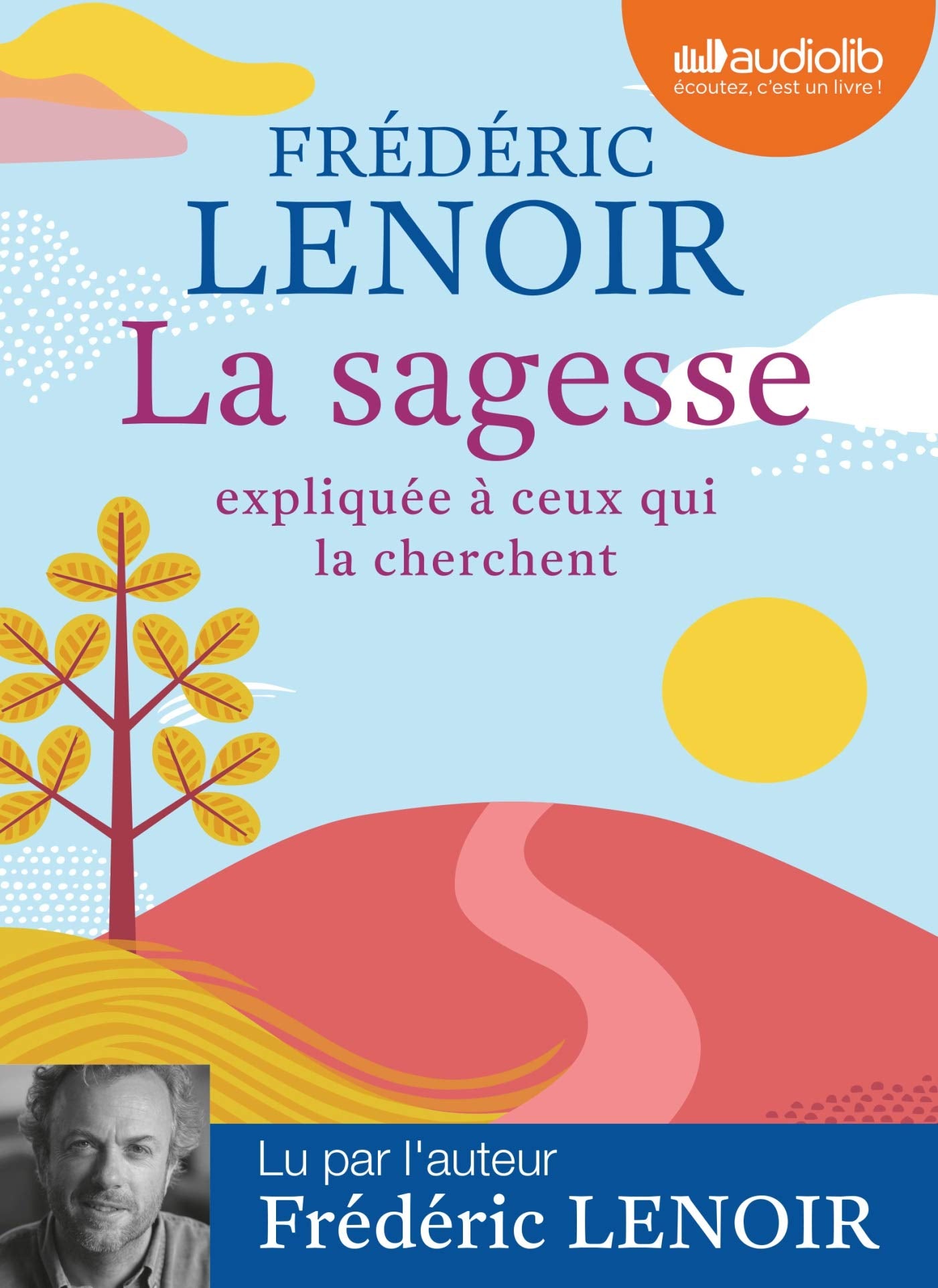 La Sagesse expliquée à ceux qui la cherchent: Livre audio 1 CD MP3 book