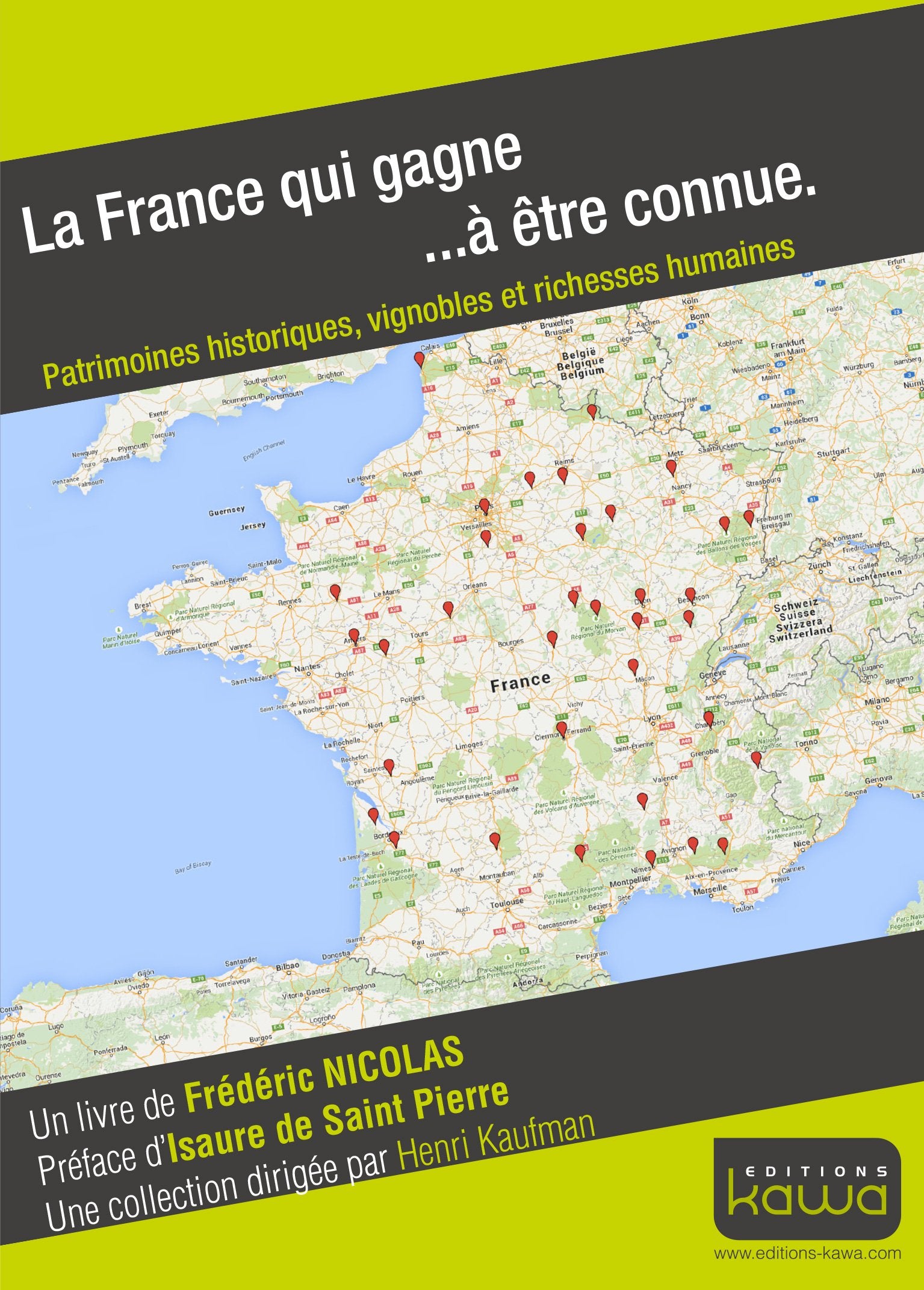 La France qui gagne... à être connue. Patrimoines historiques, vignobles et richesses humaines book