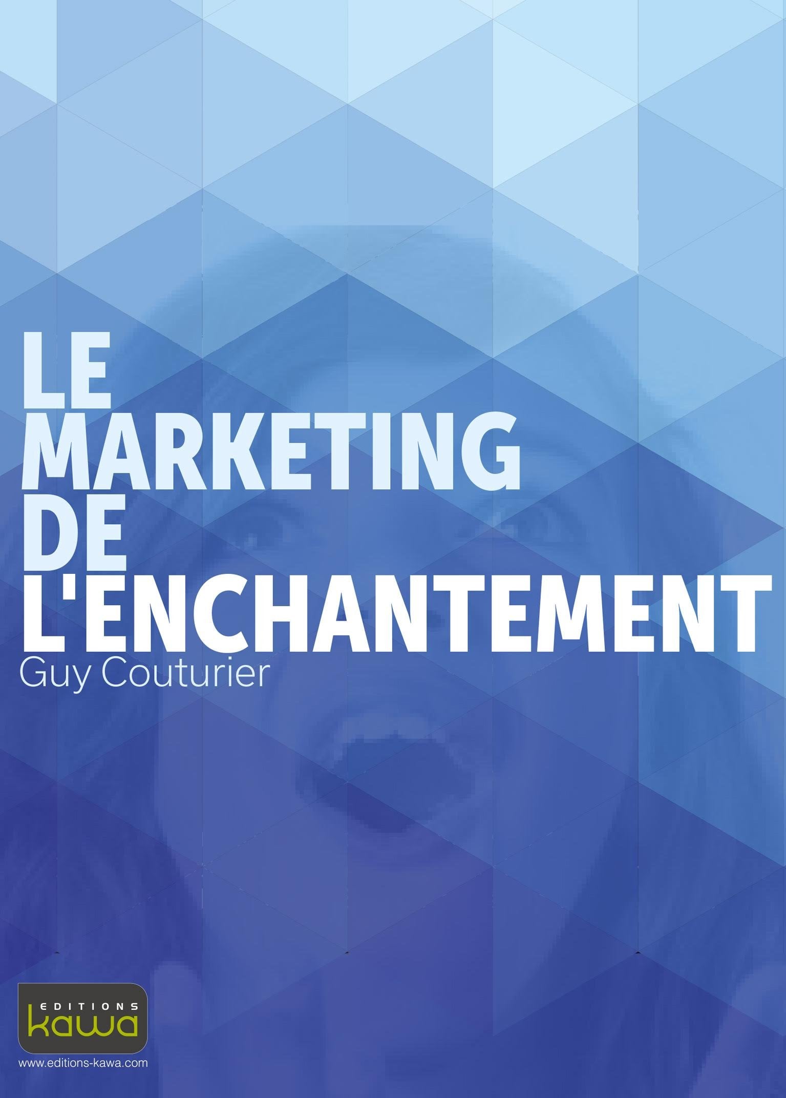 Le Marketing de l'enchantement Books