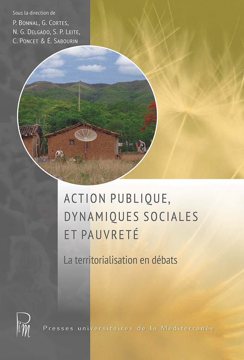 Action publique, dynamiques sociales et pauvreté: La territorialisation en débats book