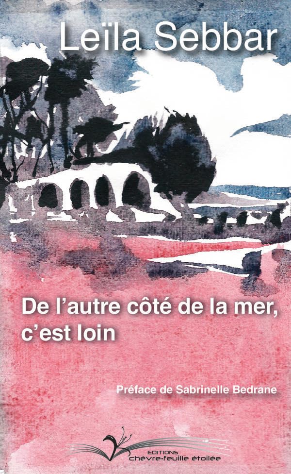 DE L'AUTRE CÔTÉ DE LA MER, C'EST LOIN book
