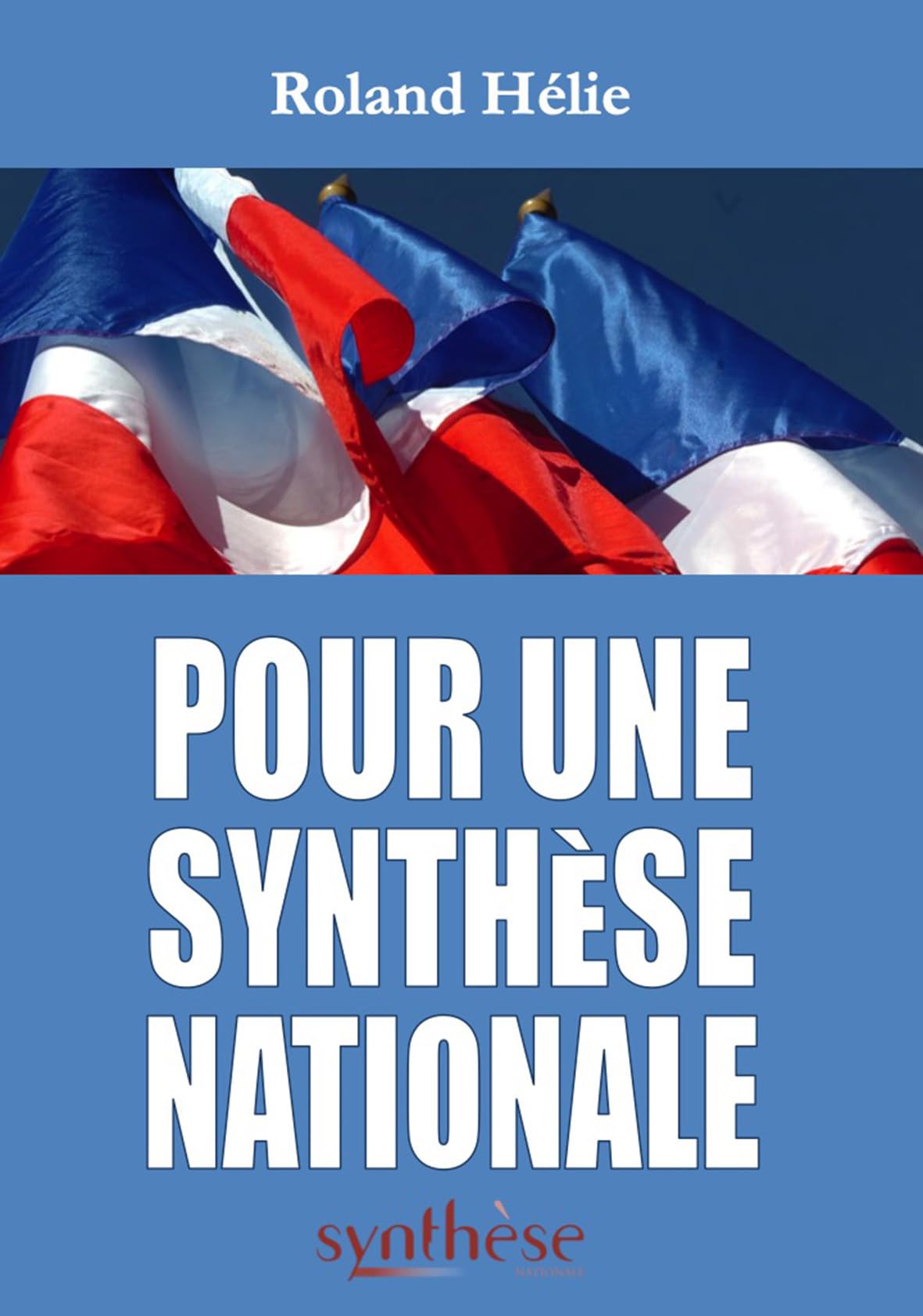 Pour une Synthèse Nationale: 2006 - 2019 : recueil des éditoriaux publiés dans la revue Synthèse nationale book