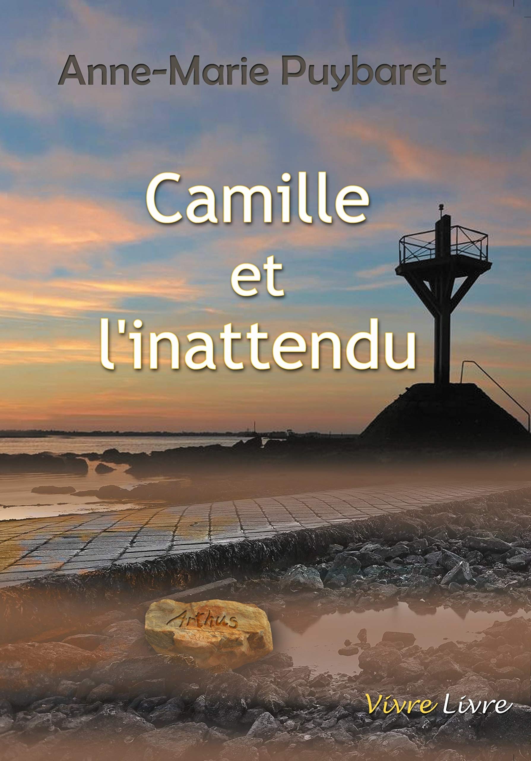 Camille et l'inattendu book