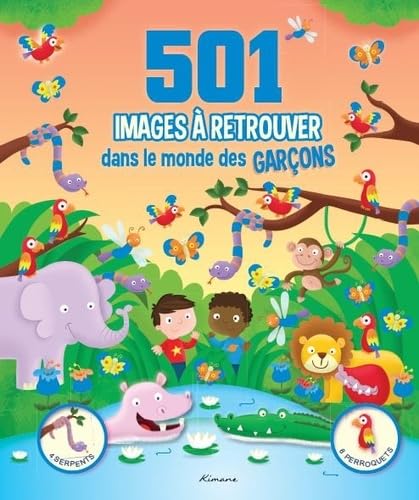 501 IMAGES A RETROUVER DANS LE MONDE DES GARCONS book