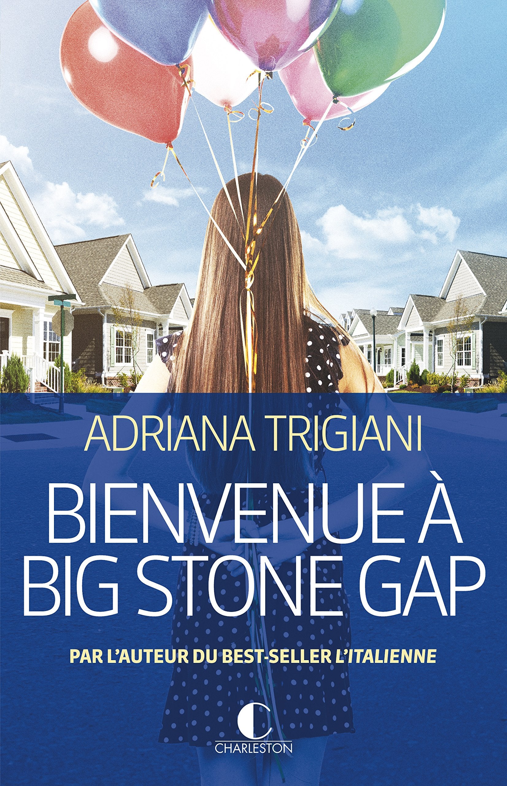 Bienvenue à Big Stone Gap book