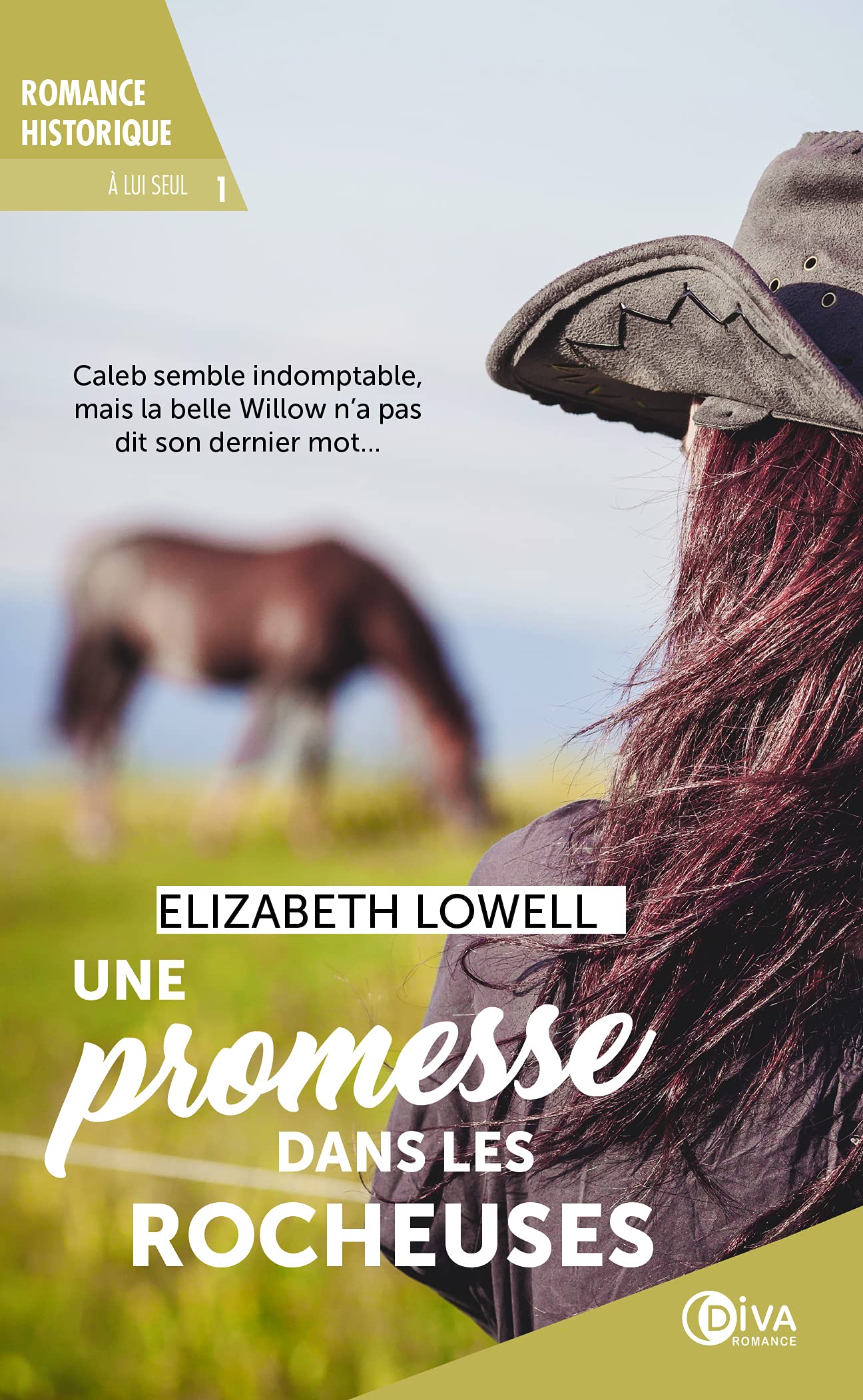 Une promesse dans les rocheuses (tome 1): lui seul book