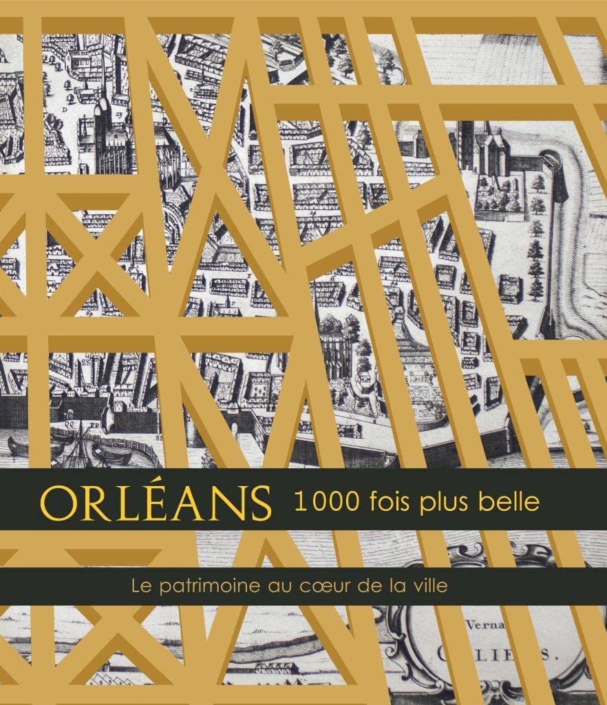 ORLEANS 1000 fois plus belle, le patrimoine au coeur de la ville book