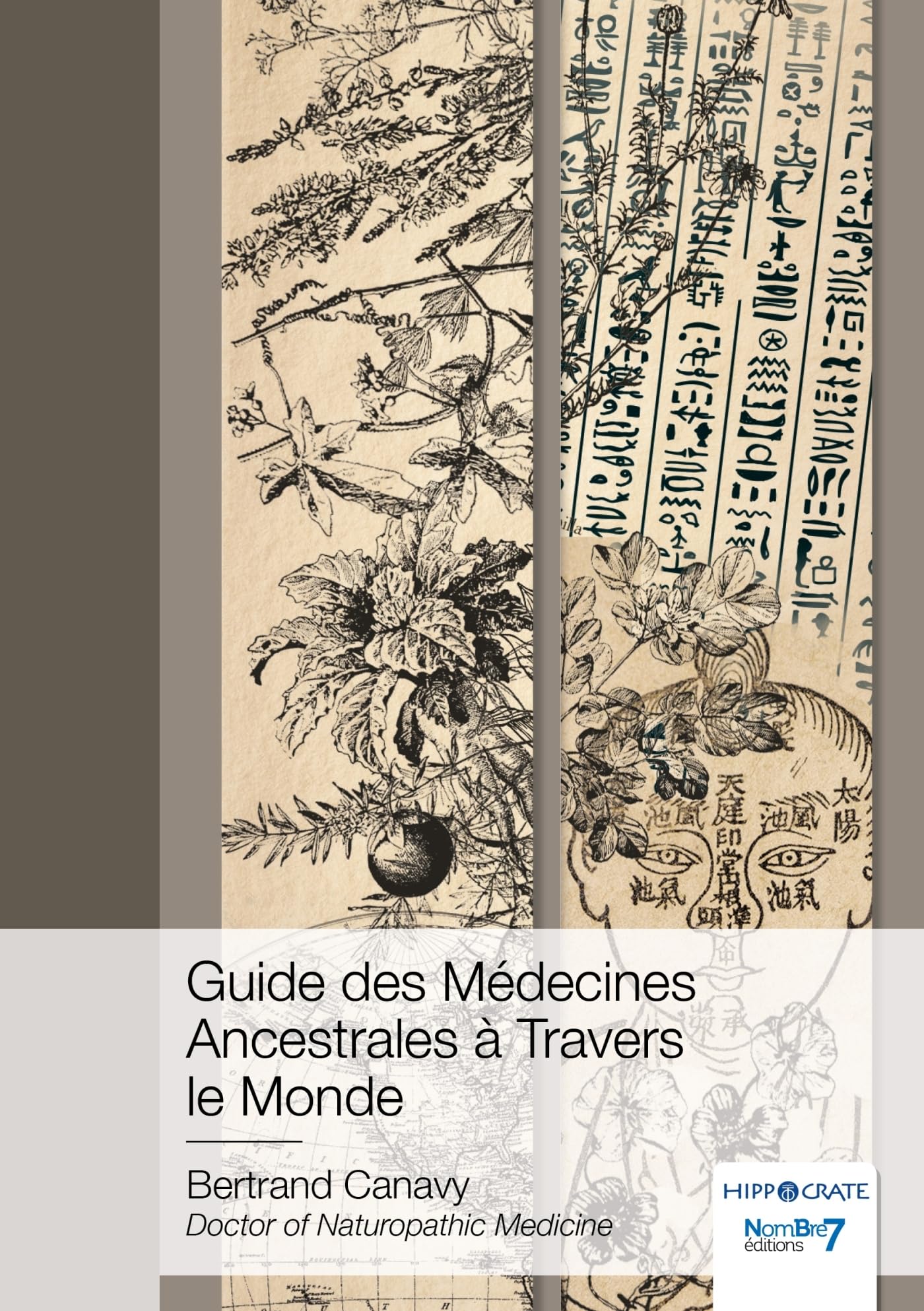 Guide des Médecines Ancestrales à Travers le Monde book