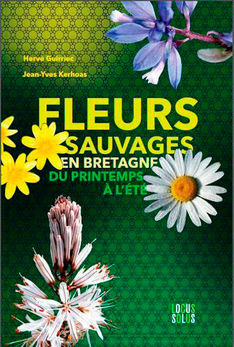 Fleurs sauvages en Bretagne : du printemps à l'été : botanique, histoire, légendes book