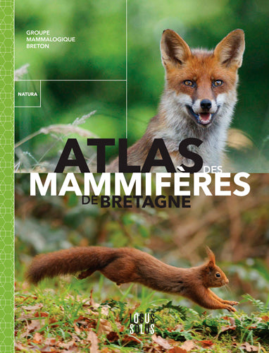 Atlas des mammifères de Bretagne book