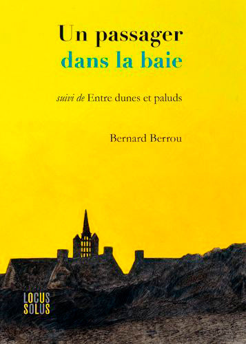 Un passager dans la baie. Entre dunes et paluds book