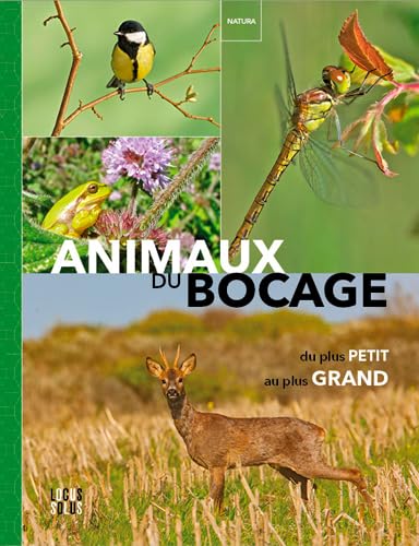 Animaux du bocage - Du plus petit au plus grand book