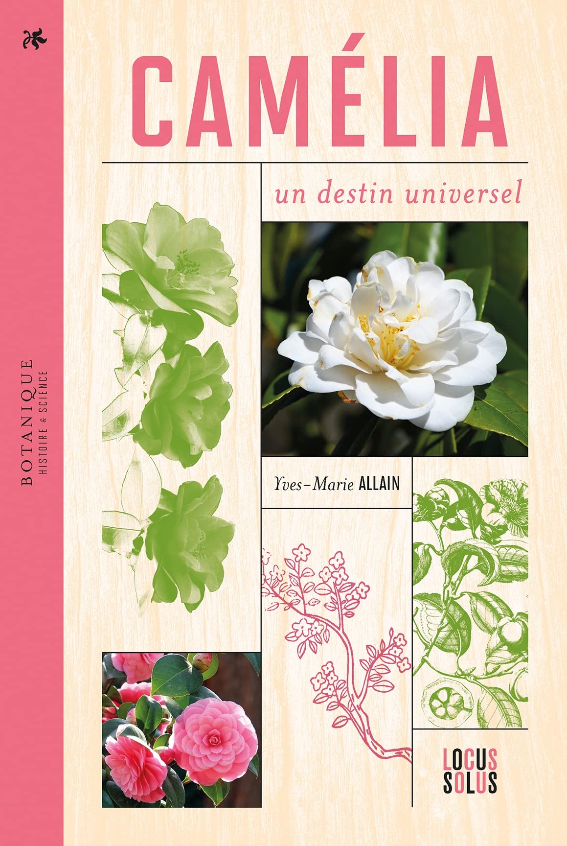 Camélia: Un destin universel book