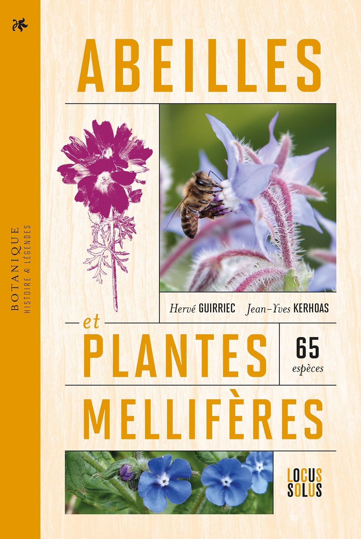 Abeilles et plantes mellifères: Histoires et légendes - 65 espèces Garden & Plants