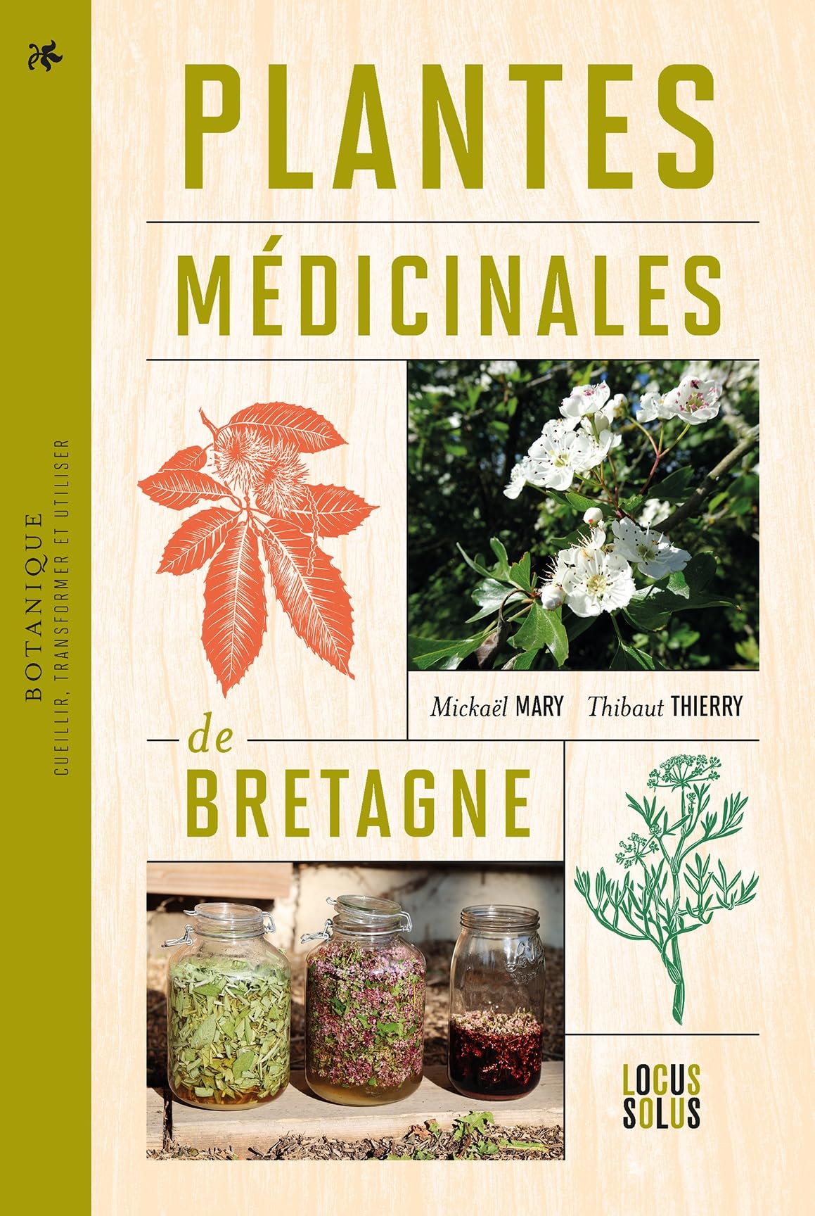 Plantes médicinales de Bretagne: Cueillir, transformer et utiliser book
