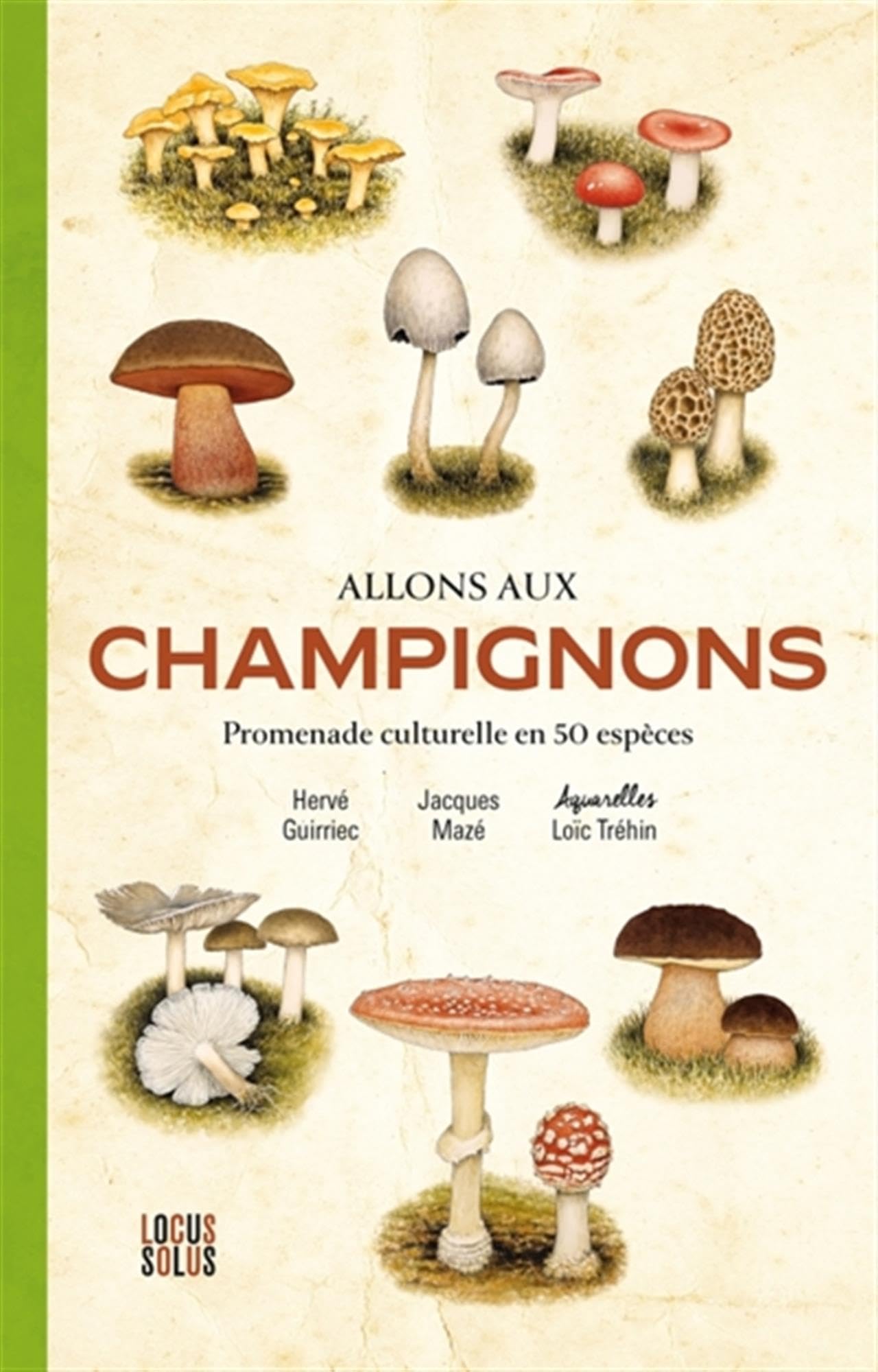 Allons aux champignons: Promenade culturelle en 50 espèces book