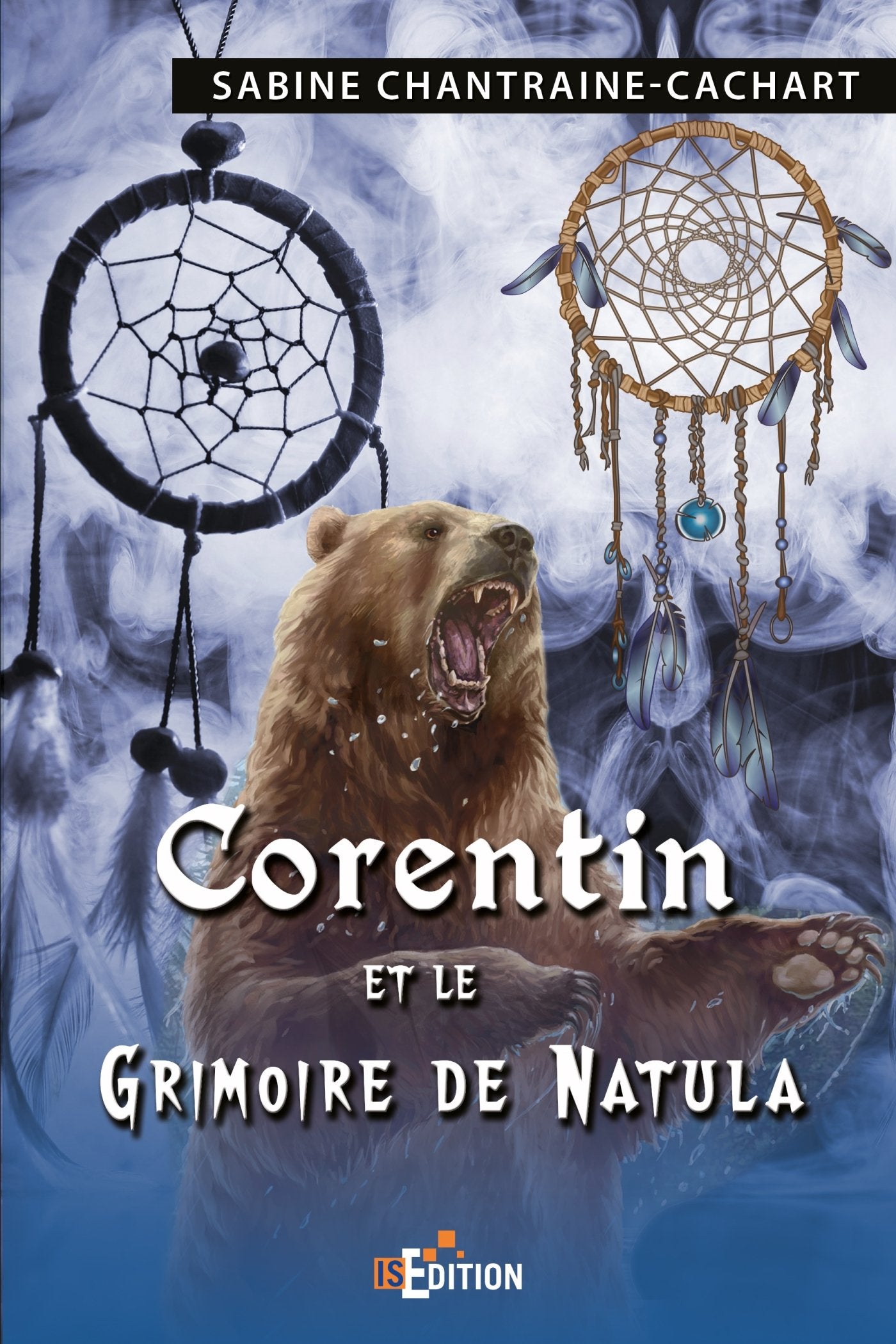 Corentin et le grimoire de Natula book