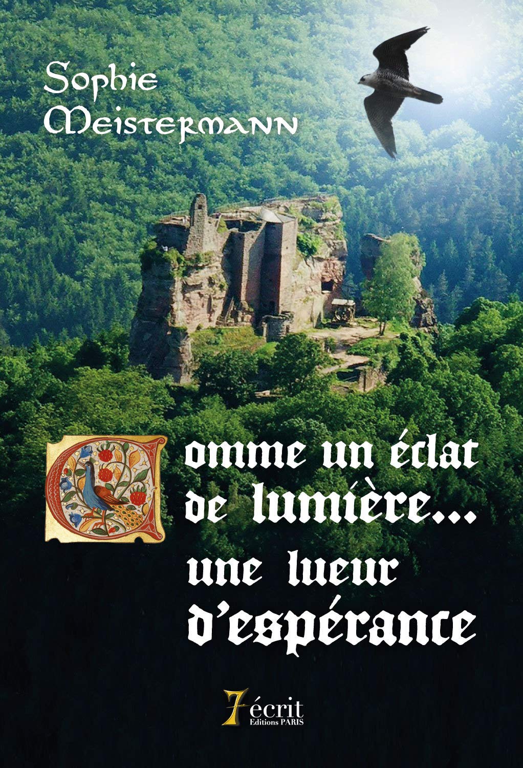 Comme un éclat de lumière: Une lueur d'espérance book