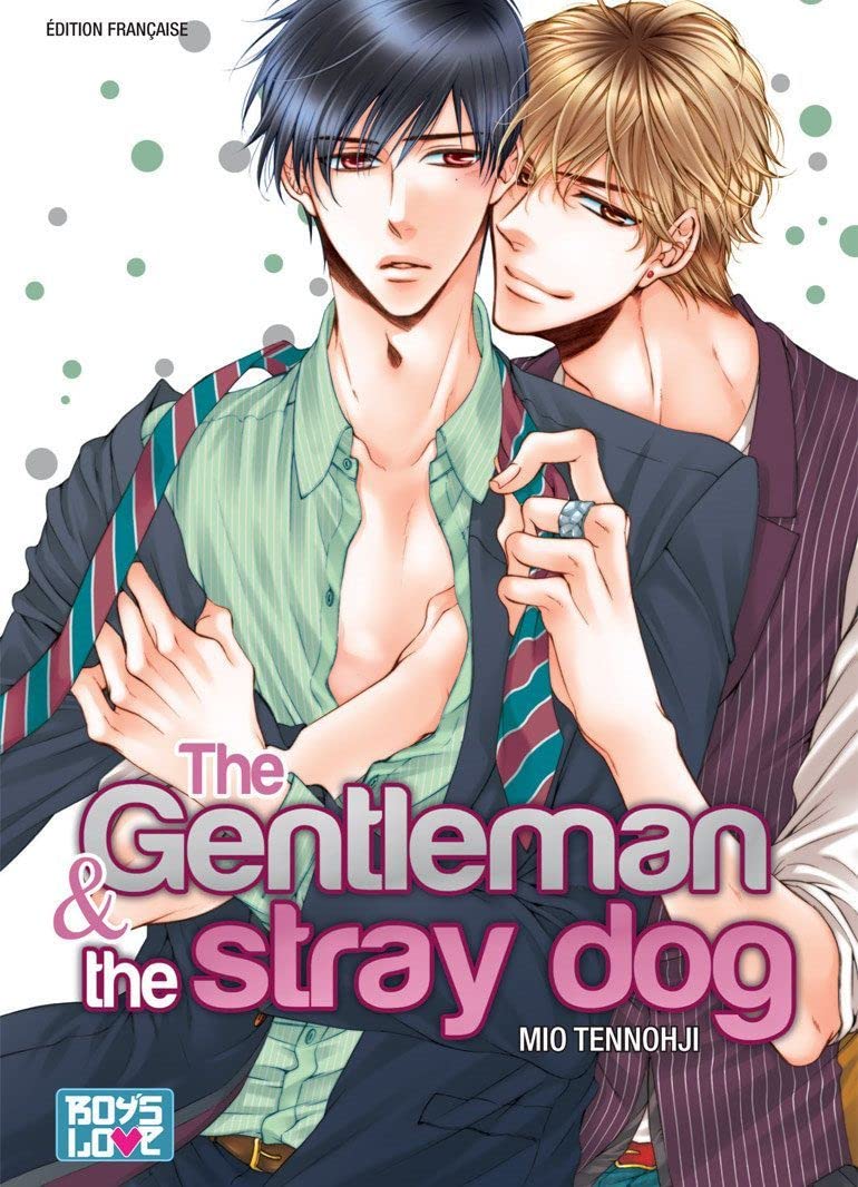 The gentleman and the stray dog book
