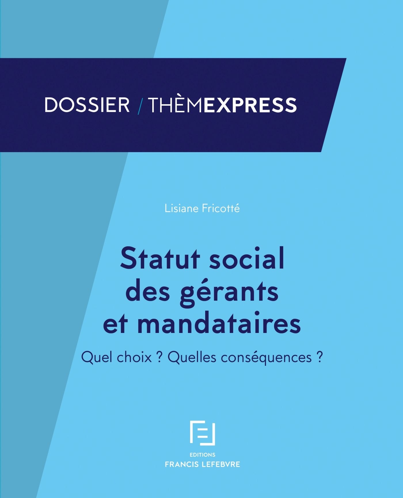 Statut social des gérants et mandataires: Quel choix ? Quelles conséquences ? book