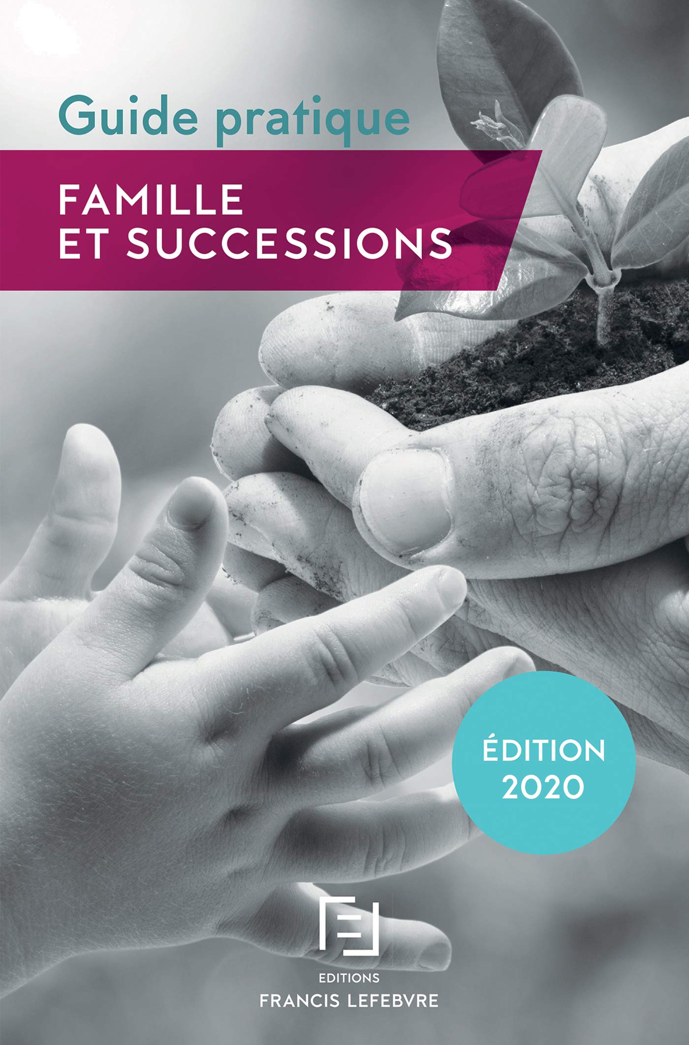 Guide pratique : Famille et successions Law