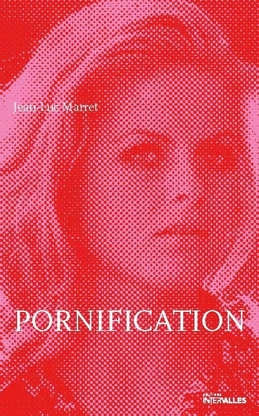 Pornification: Vie de Karin Schubert book