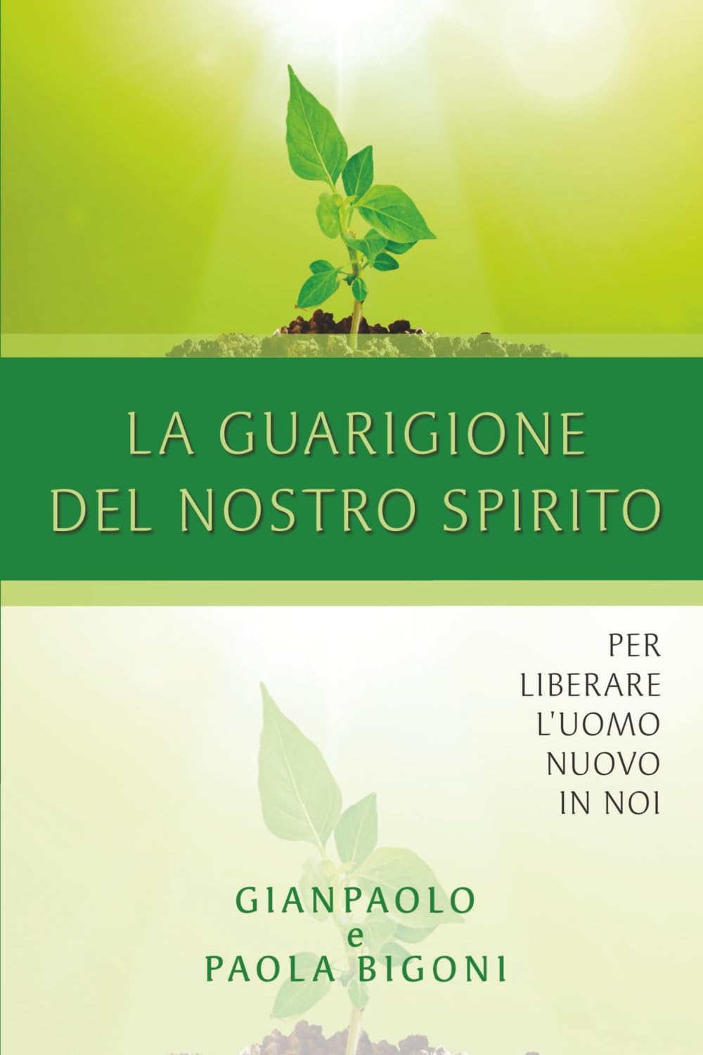 La guarigione del nostro spirito book
