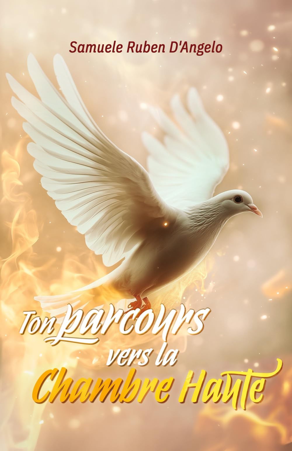 Ton parcours vers la chambre haute book