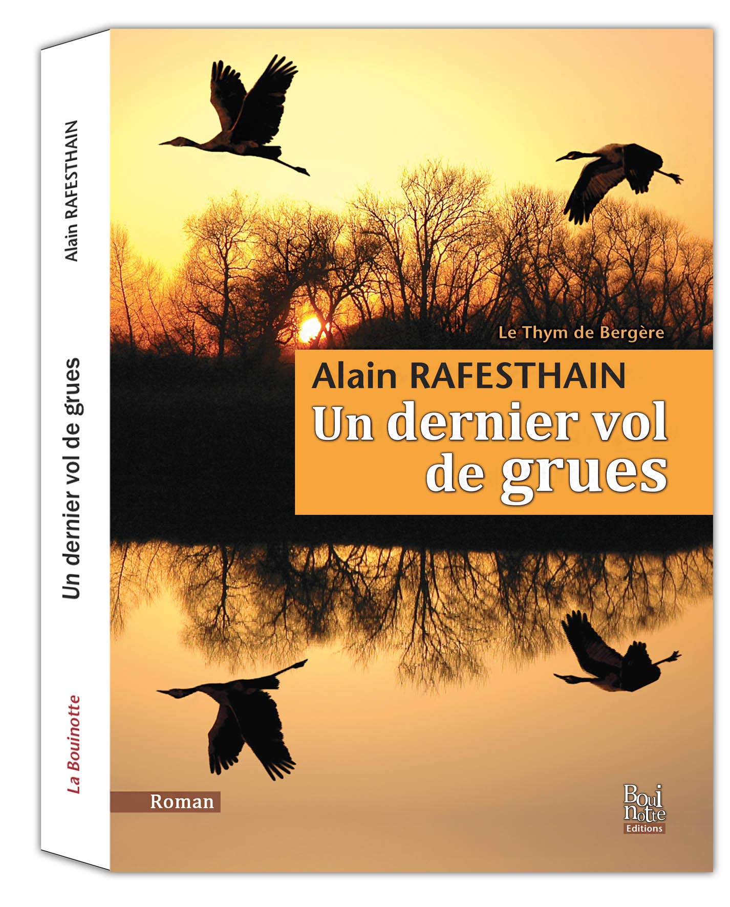 Un dernier vol de grues book