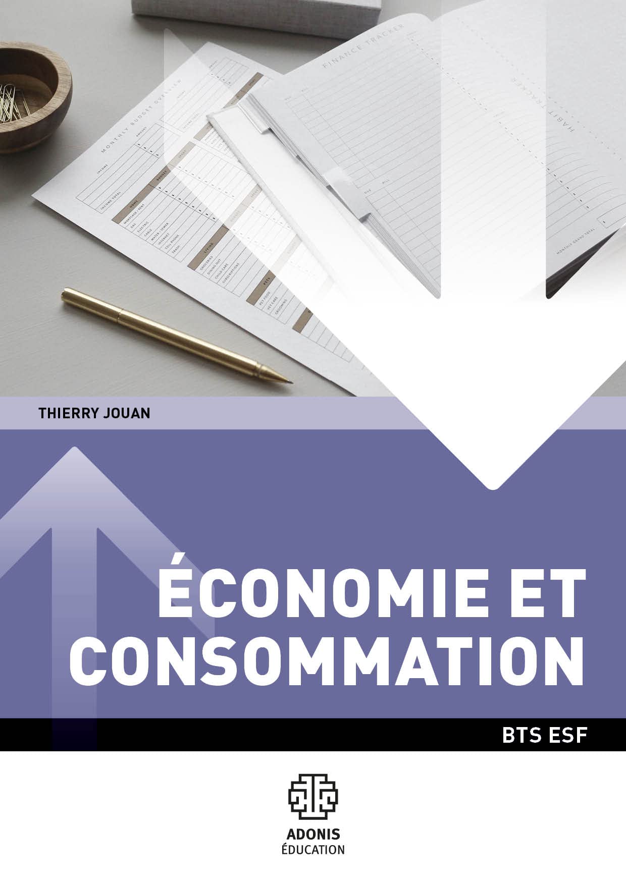 Economie Consommation 1ère année BTS ESF THIERRY JOUAN book