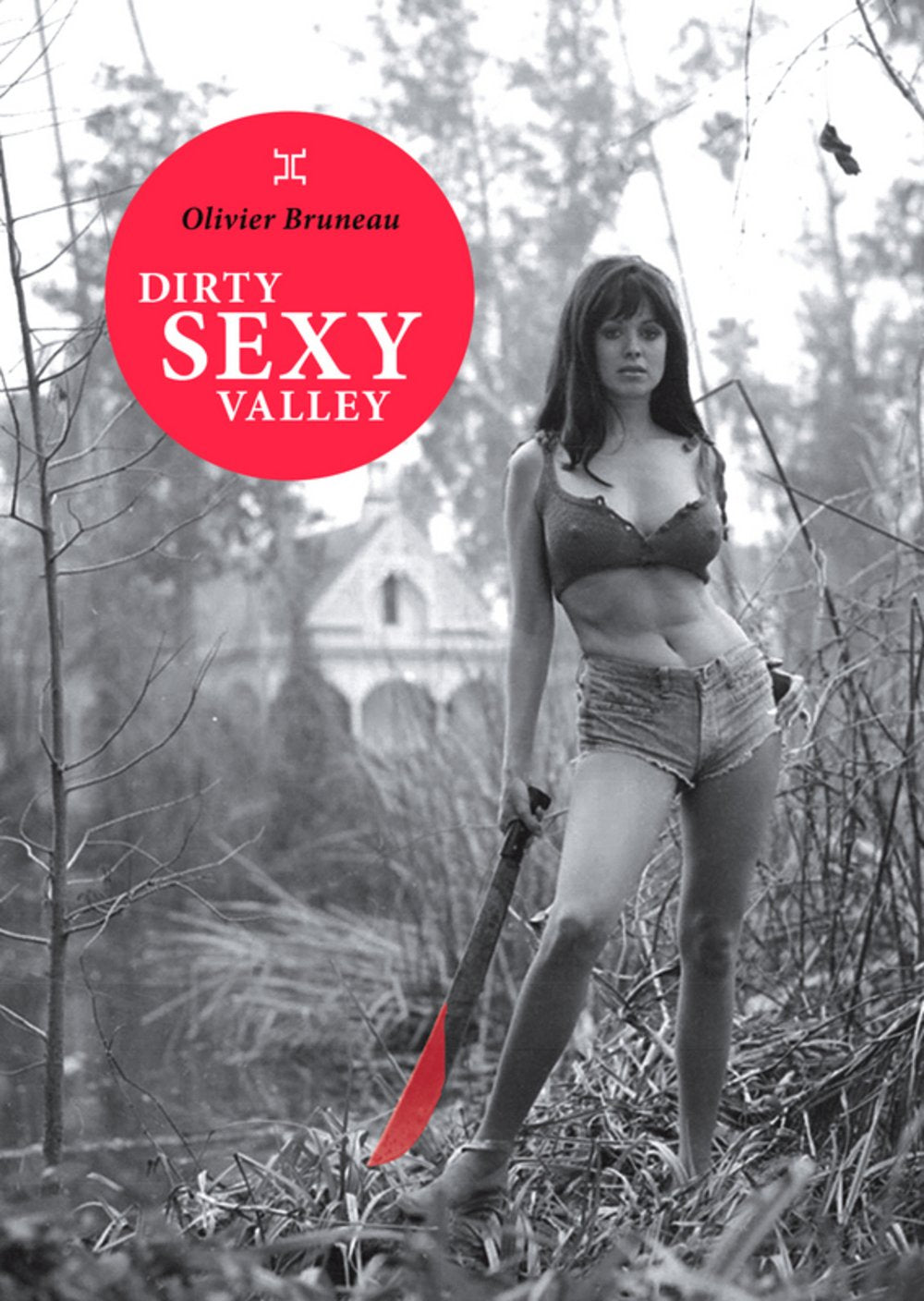 Dirty sexy valley book