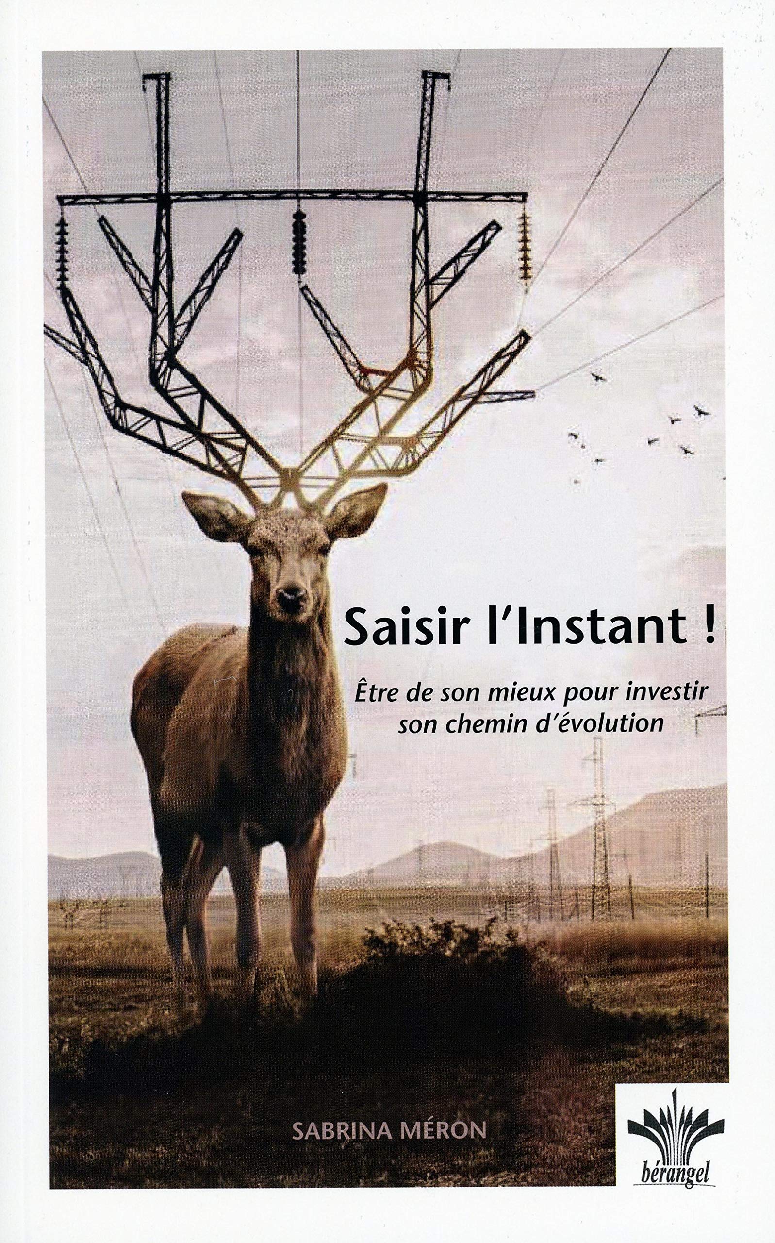 Saisir l'Instant ! Etre de son mieux pour investir son chemin d'évolution book
