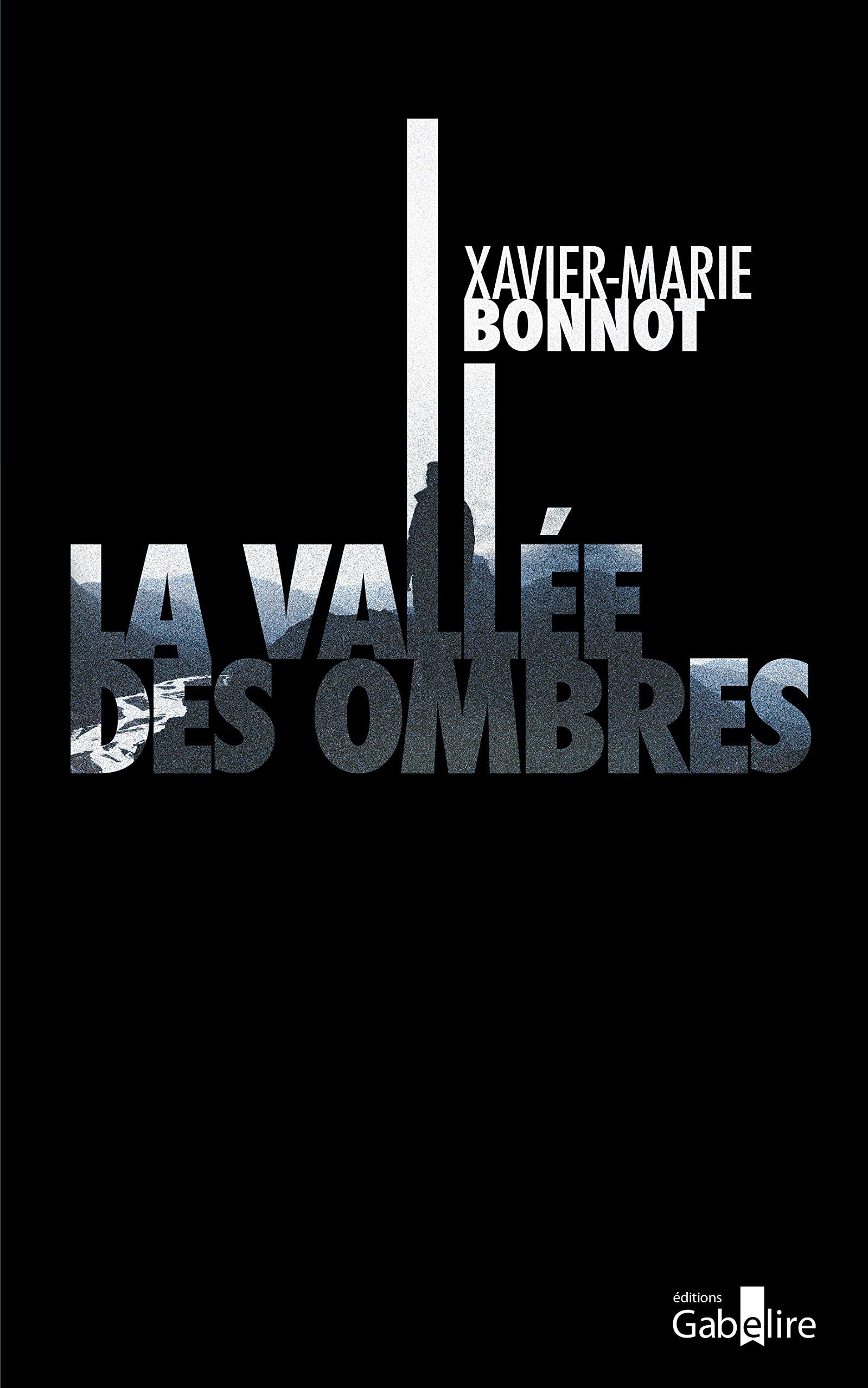 La vallée des ombres book