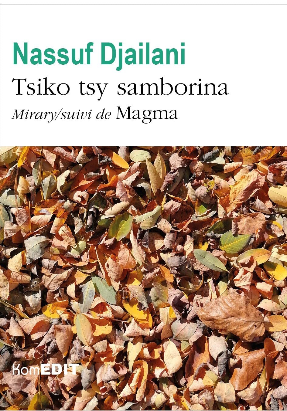 Tsiko tsy samborina: Mirary/suivi de Magma book