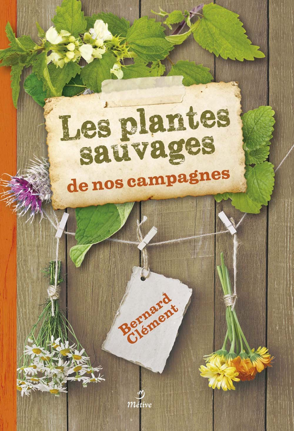 Les plantes sauvages de nos campagnes Natural Sciences
