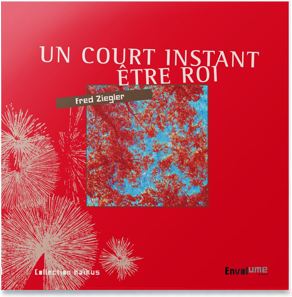 Un Court Instant Être Roi book