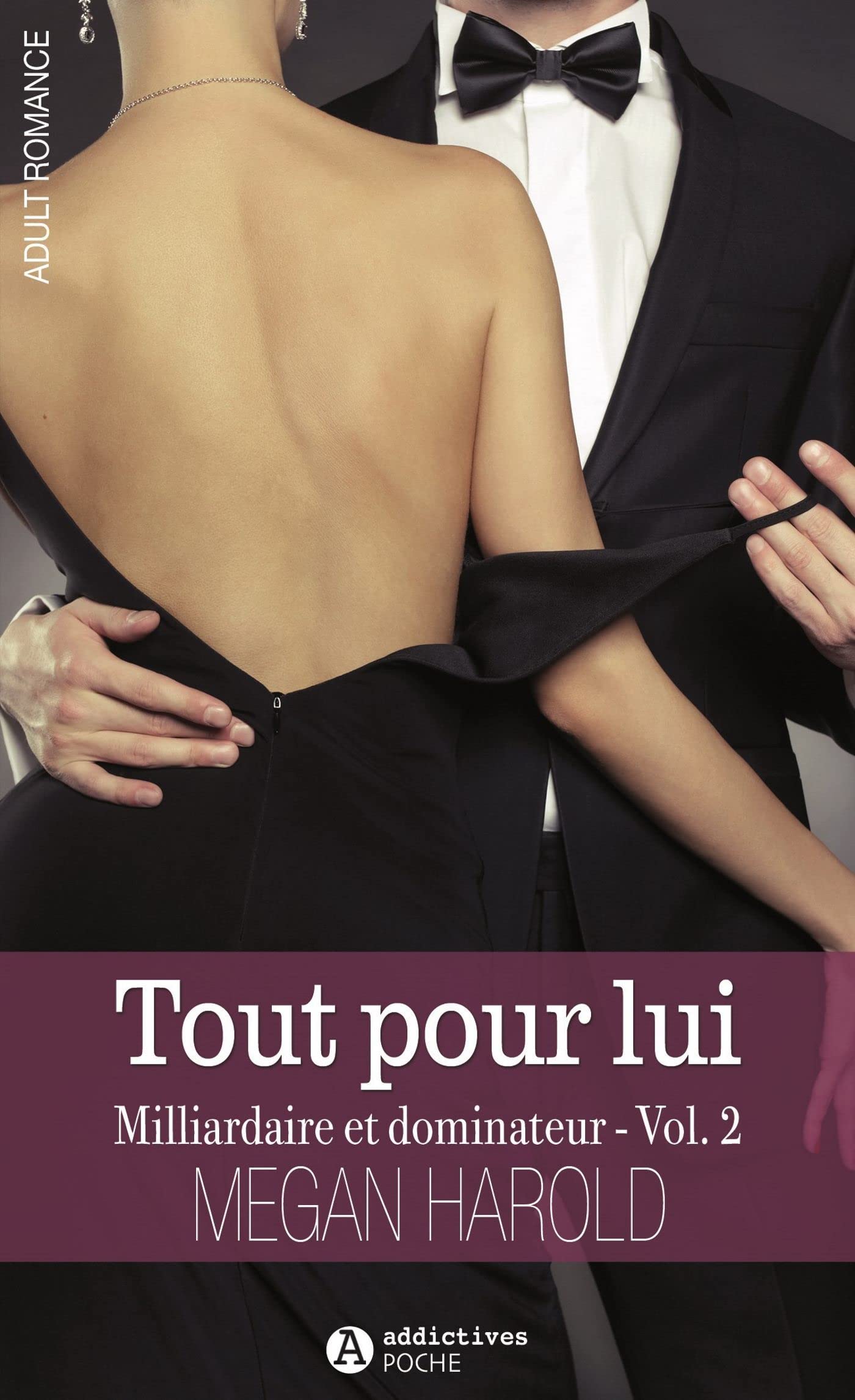 TOUT POUR LUI. MILLIARDAIRE ET DOMINATEUR VOLUME 2 Contemporary literature