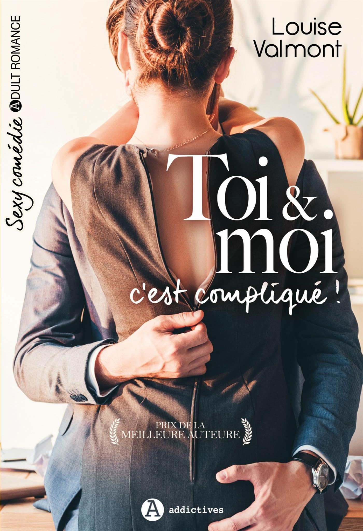 Toi & Moi, c'est compliqué ! Contemporary literature