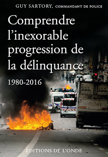 Comprendre l'inexorable progression de la délinquance : 1980-2016 book