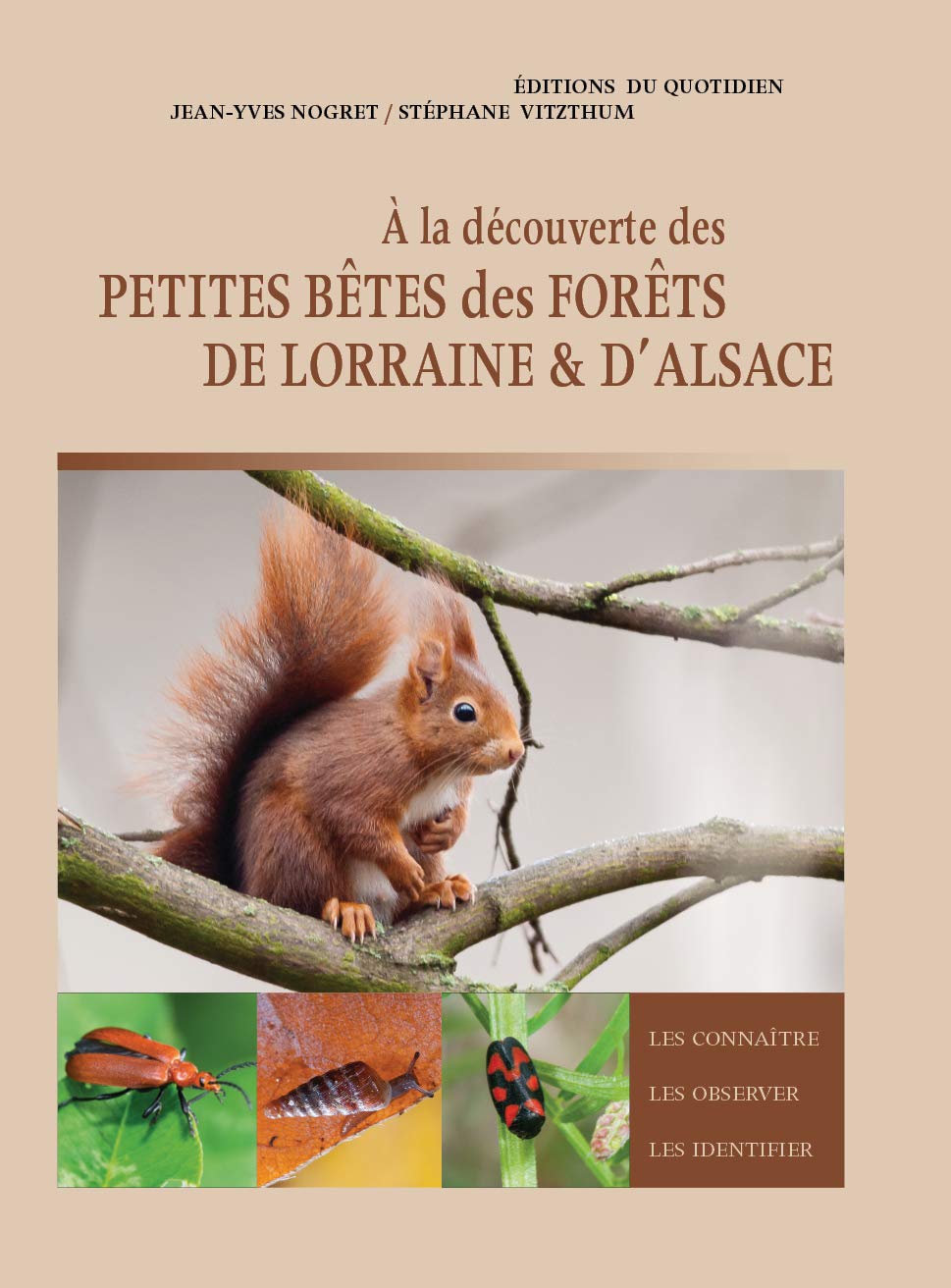 A la découverte des petites bêtes des forêts de Lorraine & d'Alsace book