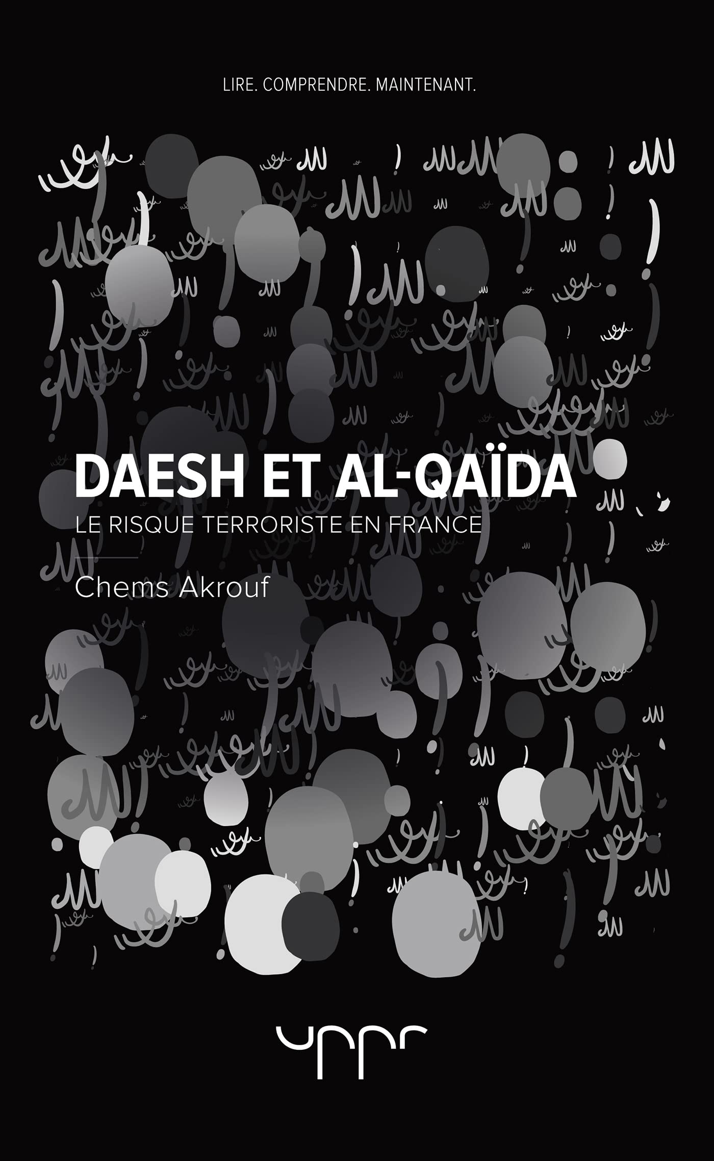 Daesh et Al-Qaïda: Le risque terroriste en France book