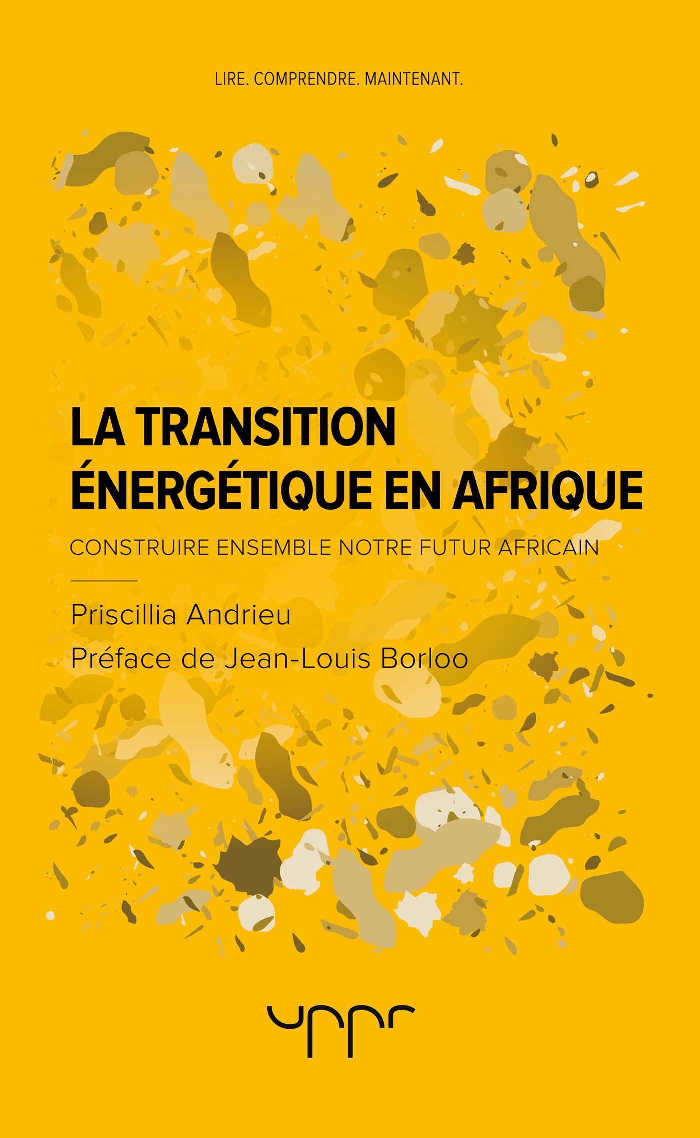 La transition énergétique en Afrique: Construire ensemble notre futur africain book