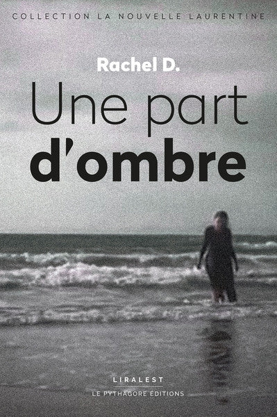 Le débâtissement du monde. Une part d'ombre book