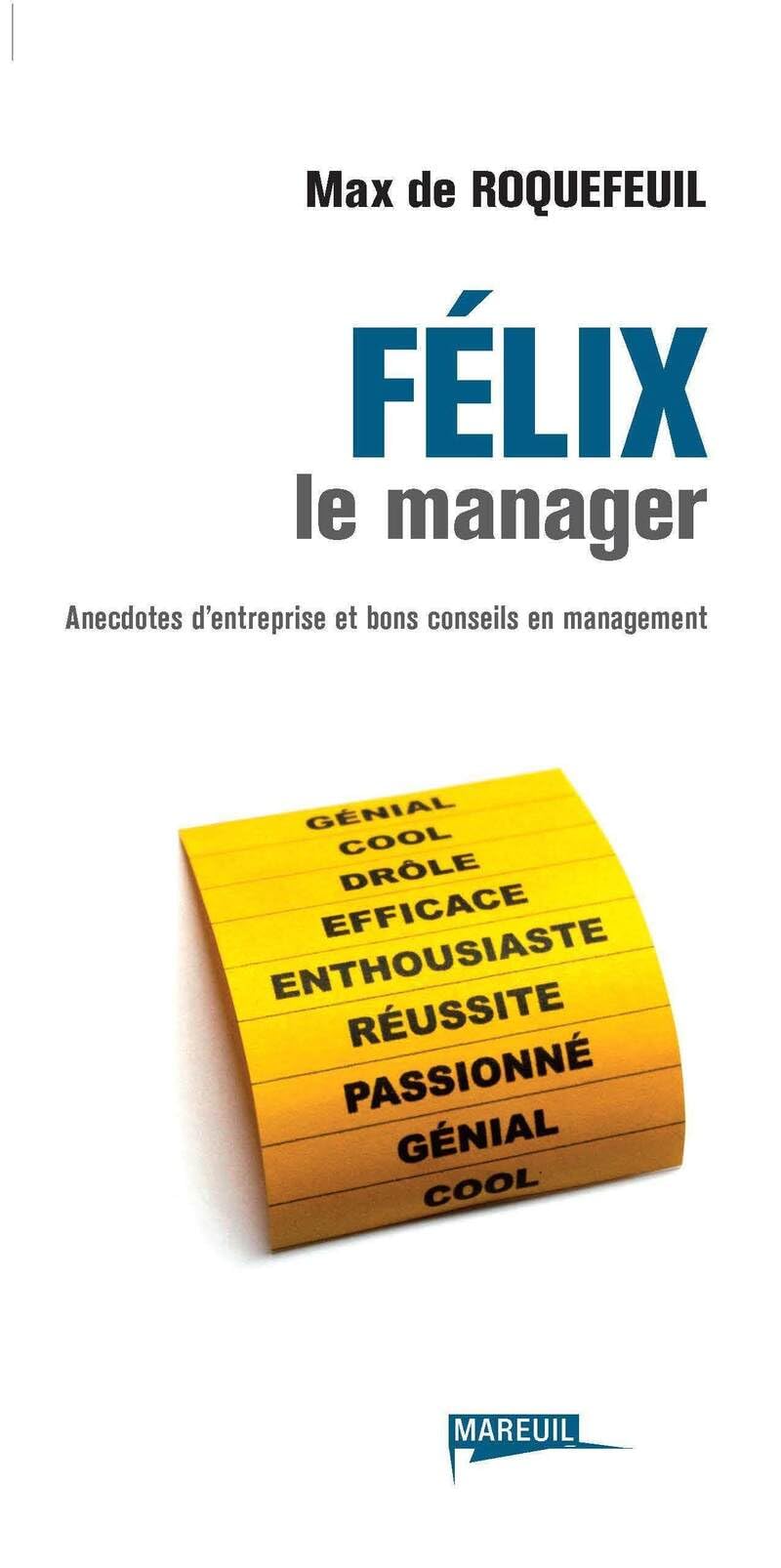 FELIX LE MANAGER ANECDOTES D ENTREPRISE ET BONS CONSEILS EN MANAGEMENT book