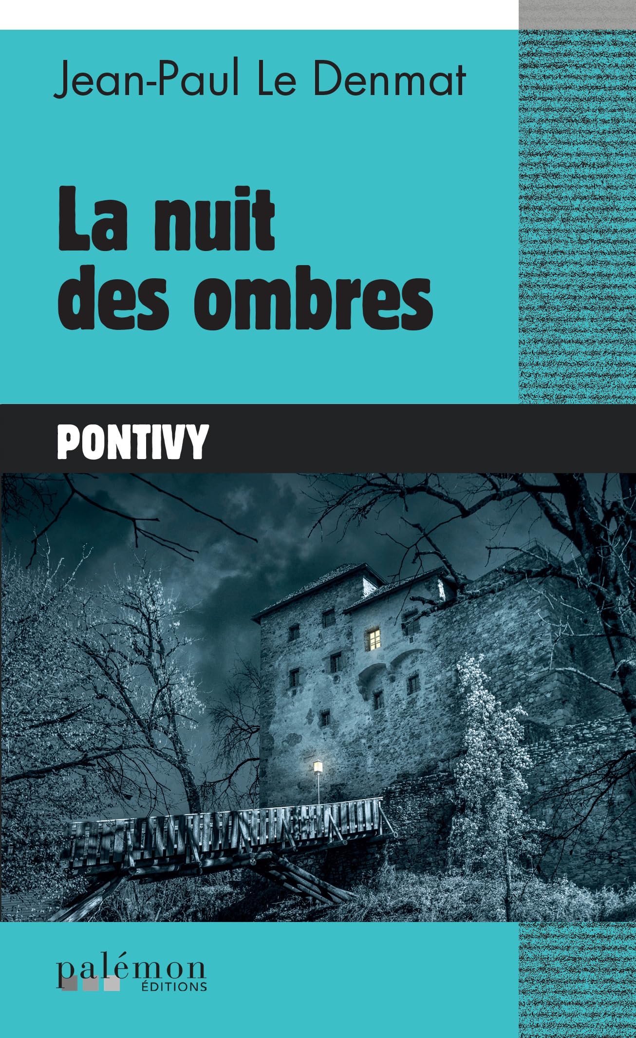 La nuit des ombres: Quand votre cauchemar devient réalité... Contemporary literature